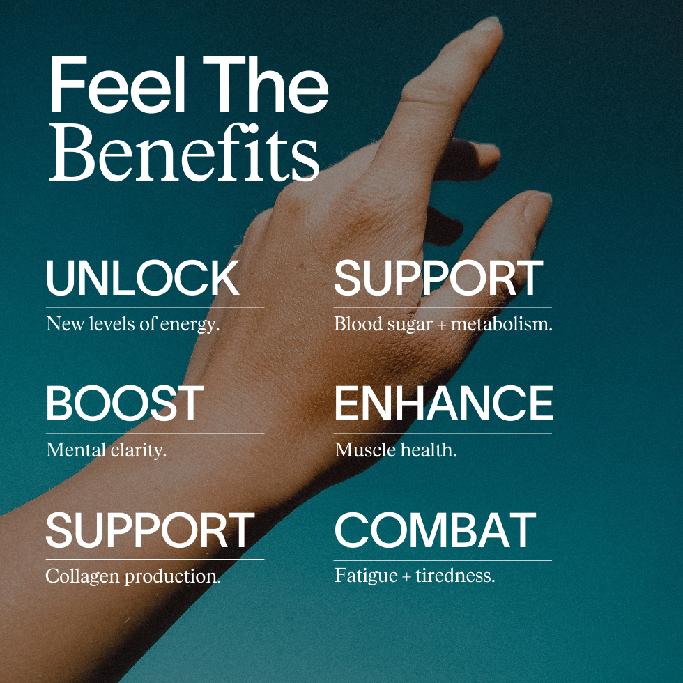 The Perimenopause Support Set