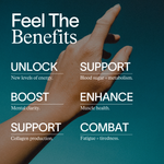 The Perimenopause Support Set