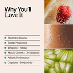 Cellular Hydration
