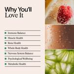 Core Essentials Stack