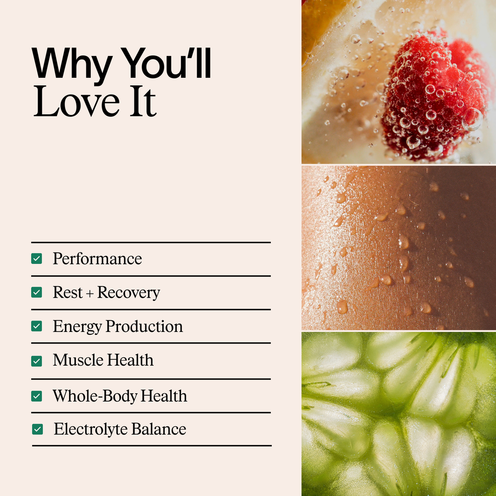 Core Performance Stack