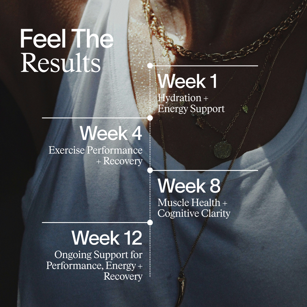 Core Performance Stack