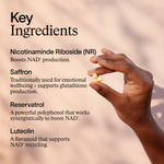 Enhanced NAD+ Complex