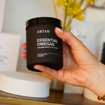 Longevity Foundations