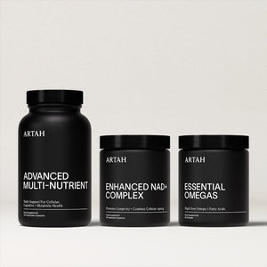 Longevity Foundations