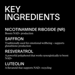 Enhanced NAD+ Complex