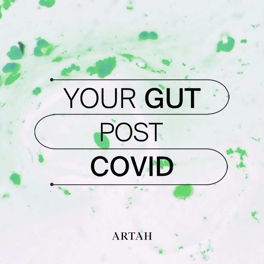 Covid 19 + Your Microbiome