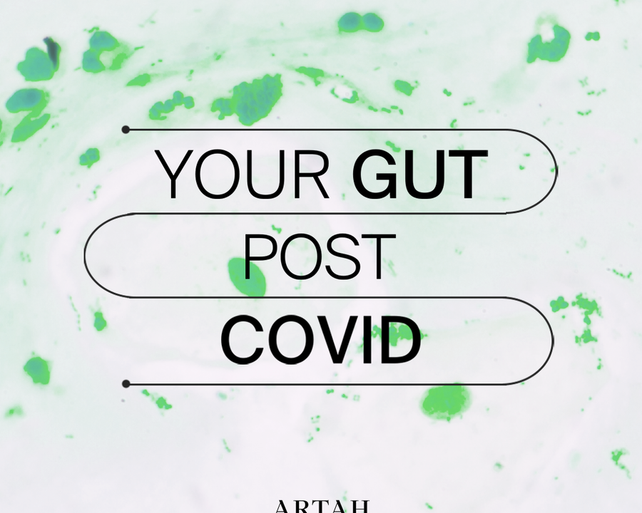 Covid 19 + Your Microbiome