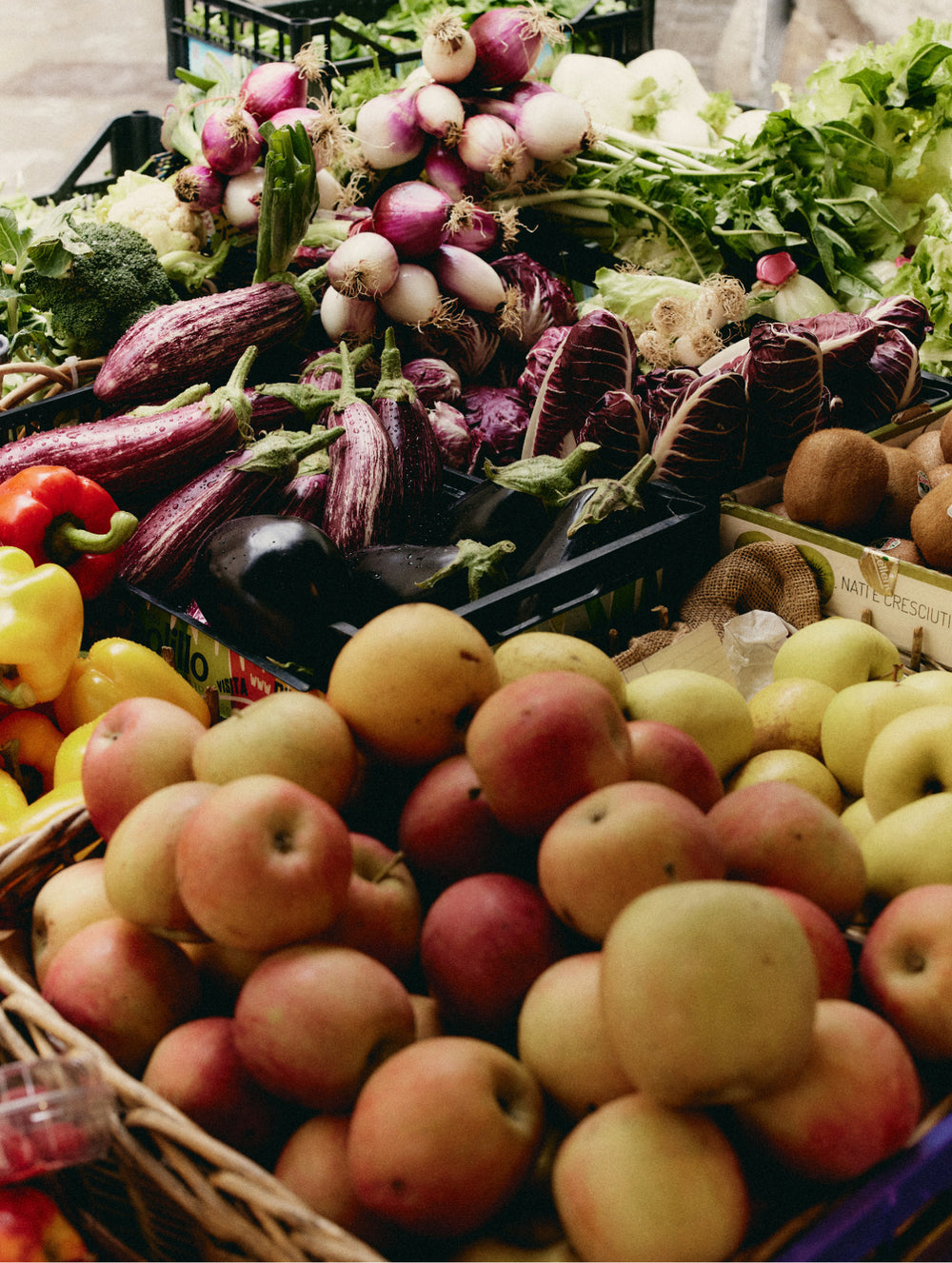 Can We Actually Get Everything We Need From Our Diet?