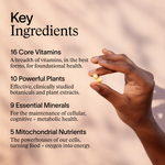 Advanced Multi-Nutrient