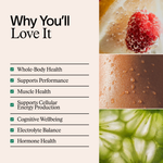 Strength + Hydration Stack