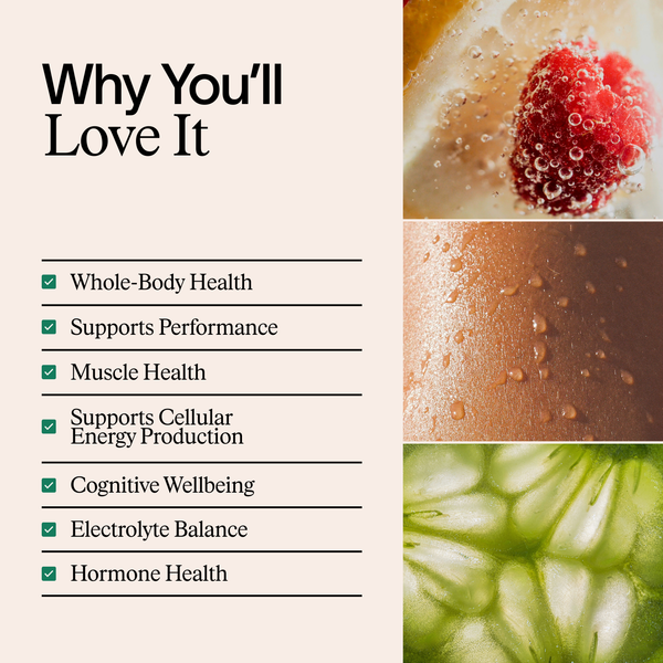 Strength + Hydration Stack - FITNESS + RECOVERY