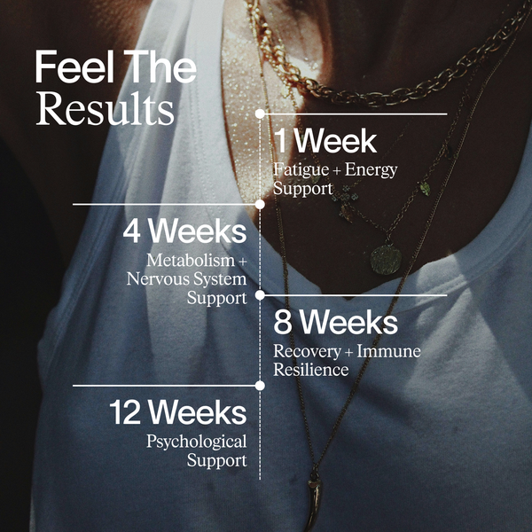 Core Essentials Stack - NEW YEAR, NEW ENERGY