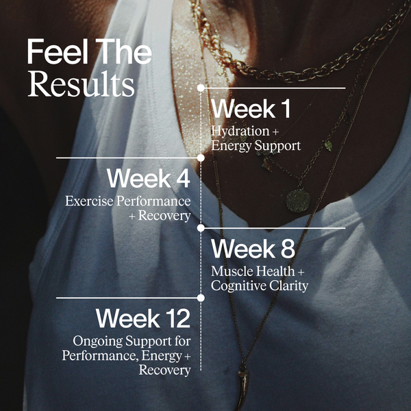 Core Performance Stack - NEW YEAR, NEW ENERGY