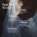 Gut + Metabolism Duo