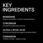 Metabolic Fix