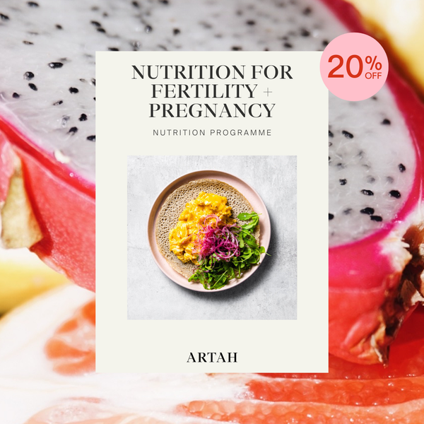 Nutrition for Fertility + Pregnancy